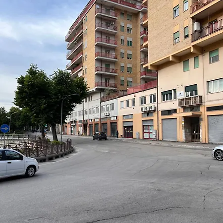 Ferro Di Cavallo *